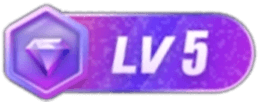 等级-LV5-私境次元社区